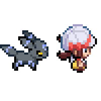 Umbreon following Trainer